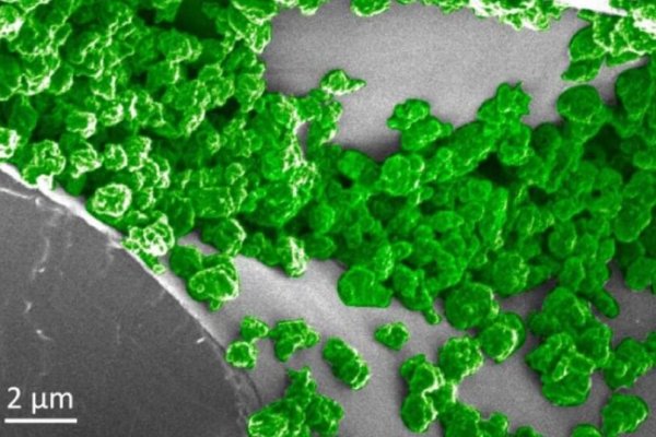 Кракен макет даркнет