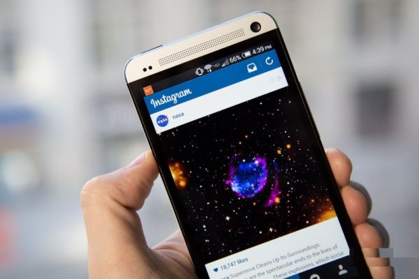 Кракен мониторинг ссылок kraken torion