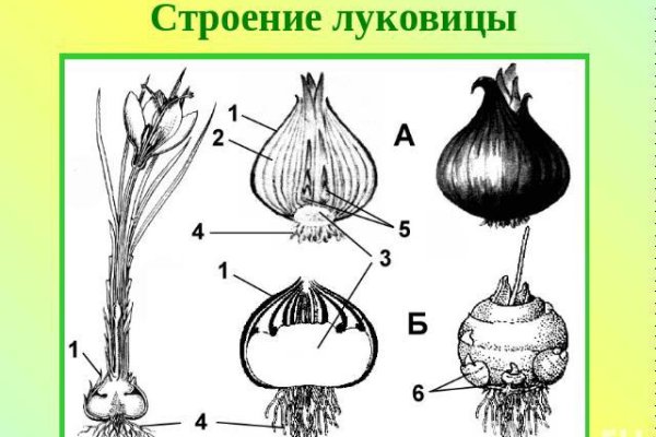 Кракен макет даркнет только через тор