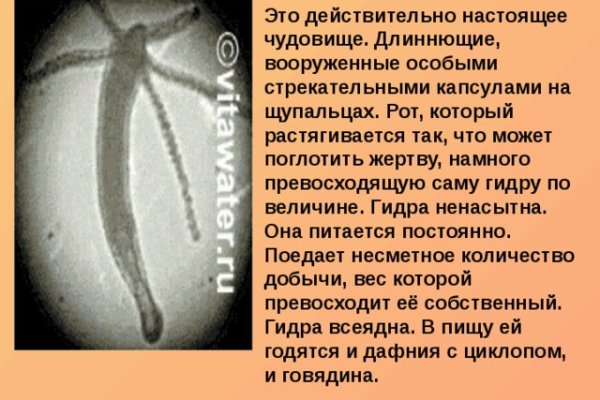Ссылки для даркнета